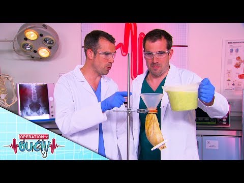 Science for Kids - The Acid Inside My Stomach | Learn About Digestion | Operation Ouch