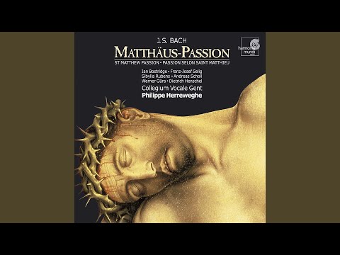 Matthäus-Passion, BWV 244, Zweiter Teil: Erbarme dich (Aria)
