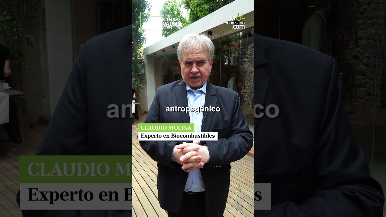 Claudio Molina, Experto en Biocombustibles