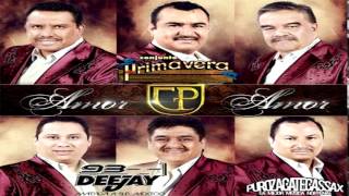 Sin Alguna Pena - Conjunto Primavera [Amor Amor Album 2014]