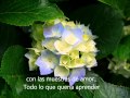 Collective Soul - Forgiveness subtitulos en español.