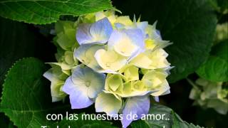 Collective Soul - Forgiveness subtitulos en español.