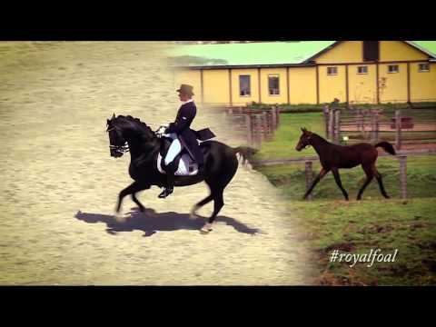 A Horse Needs a Name