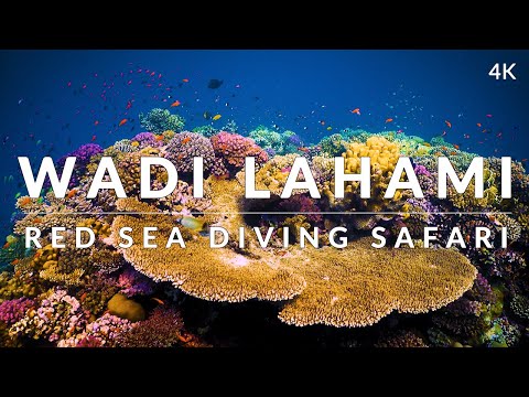 This is Wadi Lahami, Fury Shoals (4k)