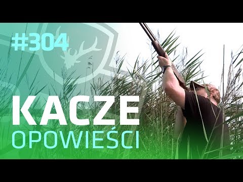Darz Bór odc 304 - Kacze opowieści
