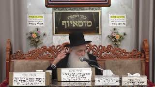 הרב יוסף שטרית | פרשת השבוע | מוסאיוף (בית הכנסת מוסאיוף) - התמונה מוצגת ישירות מתוך אתר האינטרנט יוטיוב. זכויות היוצרים בתמונה שייכות ליוצרה. קישור קרדיט למקור התוכן נמצא בתוך דף הסרטון