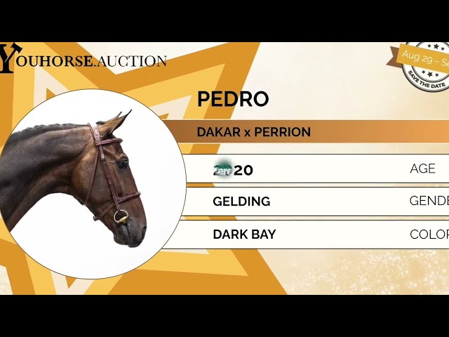 Pedro showvideo