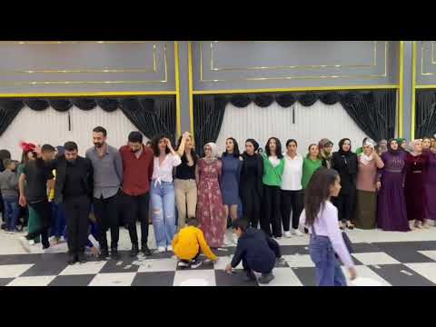 #diy #saraydüğünsalonu #dügündernek #düğündernek #dugunvideoları #diyarbakır #ha