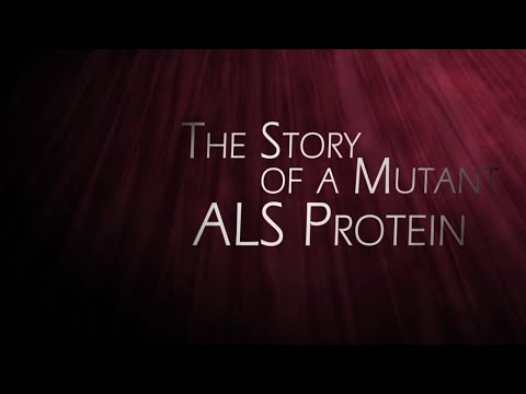 Three Minute Thesis competition 2021 (winner video)