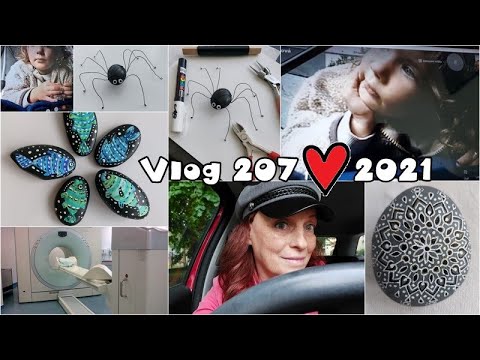 Vlog 207/21 - PET CT a kamínky
