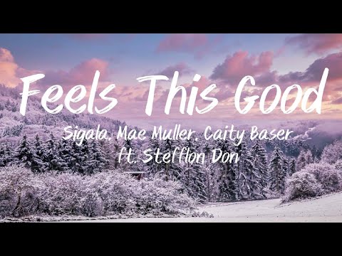 Feels This Good - Sigala, Mae Muller, Caity Baser ft. Stefflon Don (Lyrics)