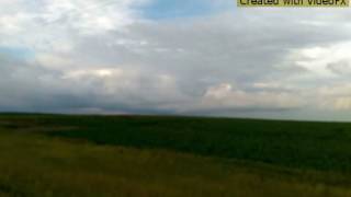 Cuban Link -Flowers For The Dead Tribute