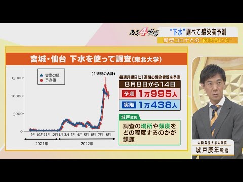 コロナパンデミックの終焉: 驚くべき予測が希望を与える