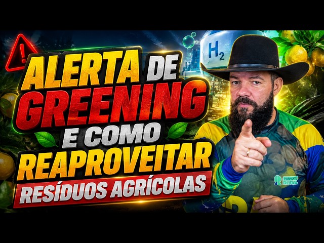ALERTA DE GREENING e como reaproveitar resíduos agrícolas.