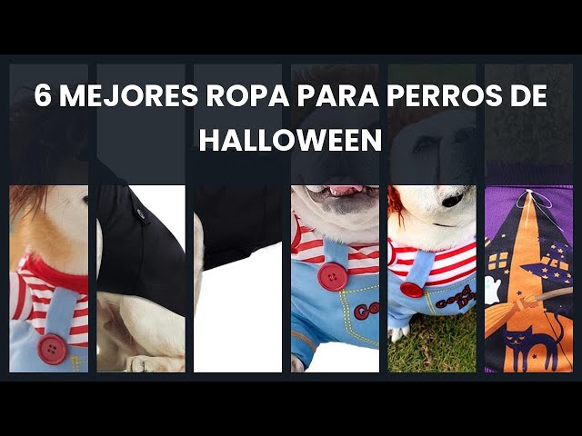 Vídeo relacionado con RRUIQI Ropa de muñeca mortal para perro, disfraz de Halloween para mascotas, disfraz de perro Chucky para cosplay, ropa divertida para fiesta de Halloween, Navidad, traje para perros pequeños,