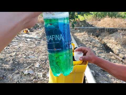 Thử nghiệm thuốc SÂU VI SINH với thuốc Bệnh Hóa Học,coi sâu có chết ko?