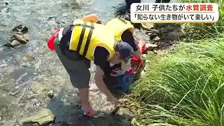 川を守る大切さを学ぶ　女川町で小学生が水生生物や水質を調査「知らない生き物がいて楽しかった」　宮城 (26/08/24 17:56)