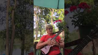 Harper Valley PTA written by Tom T Hall