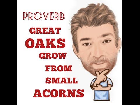 English Tutor Nick P Proverbs (306) Great Oaks Grow From Small Acorns