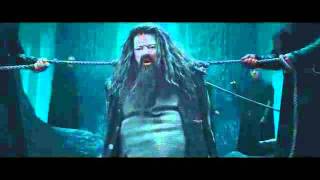 Harry Potter and the Deathly Hallows Part 2 - Harry Potter in the Dark Forest