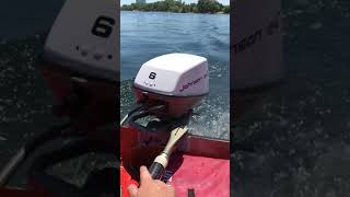 1972 Johnson 6hp Seahorse