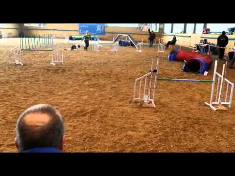 Zellseecup Juju A1 28.02.2015