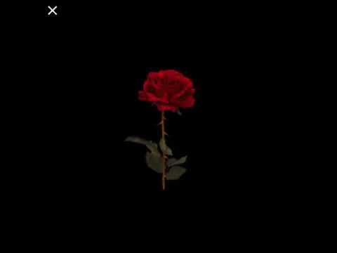 Mikebo mvp - about that chek(fast)