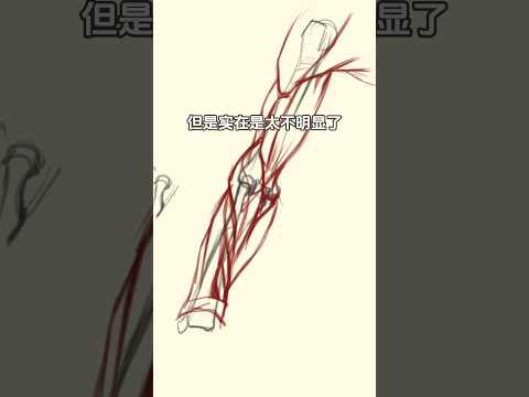 Drawing Guide: Completely Draw the Brachioradialis and Forearm Muscles! #anatomy #art #sketch #body