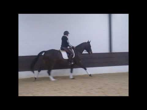 GIOVANNI v. Grey Flanell - Sandro Hit VB 4.500,- Euro