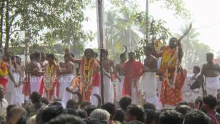 Thara Pooja - A Ritual of Kodungalloor Bharani, Thrissur