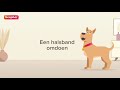 Beaphar Collar - Hond