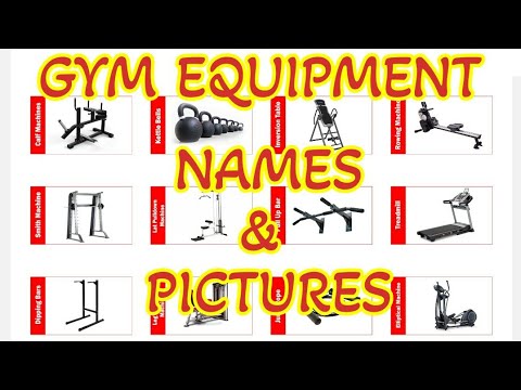 Commercial gym setup services