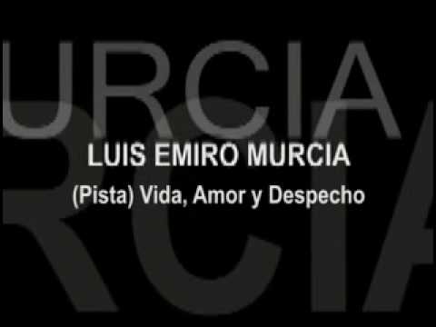 (Pista) VIDA, AMOR Y DESPECHO