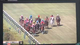 【競馬実況動画2026】第1回新潟競馬3日目11R駿風ステークス 3勝クラス シュラフ（嶋田純次）