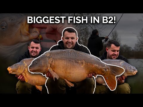 Tom Maker | Linear Fisheries B2 Snippet | Biggest fish in the lake! | CineCarp TV