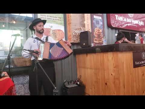 Cana Verde do Maluquinho