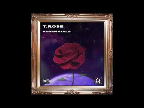 T.Ro$e - POP! ft TMB Boof (Visualizer)