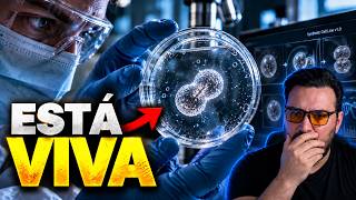 Cientistas acabam de criar VIDA do zero?