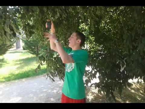 Alfombra Tournament (filtros) Glock vs Sumasi vs SrK