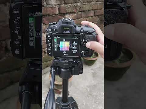 Nikon D7500 Camera Colour Settings / How To Set White Balance 📸🔥#shorts #photography #tranding