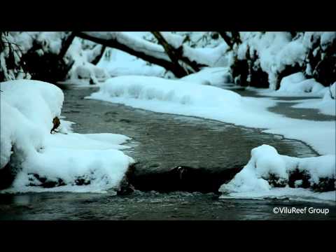 River in winter 60 min/Nature Sounds/Work,Sleep,Study