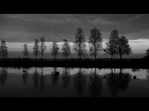 Suika #105 w/ Isaac Highway, Artyom Kozlov, Deepkomplekt, Simeon, Tycho, Mild Minds and others...