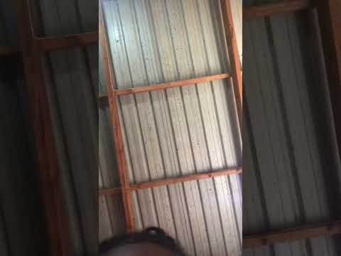 26 de outubro de 2024