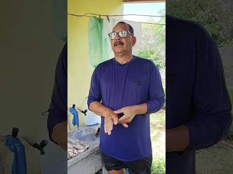 pescaria maravilhoso na ilha de Itamaracá PE #peixe #pescaria #pescar #Itamaracá #sítio