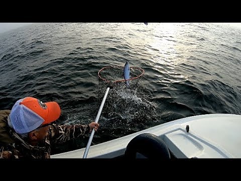 image-Is crabbing open in Port Angeles WA?
