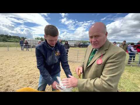 The Return of Haddington Show with Julie Wight (Business Reporter)
