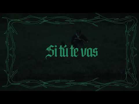 Wuicho kun - Si tú te vas (Visualizer)