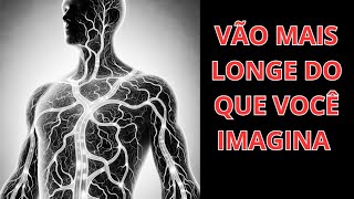Quantos Quilômetros De Vaso Sanguíneo Aproximadamente Tem O Corpo Humano