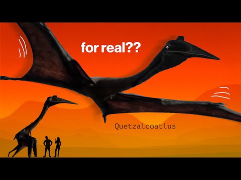 What Quetzalcoatlus was really like