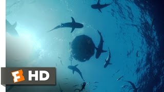 All Is Lost (8/10) Movie CLIP - Sharks (2013) HD